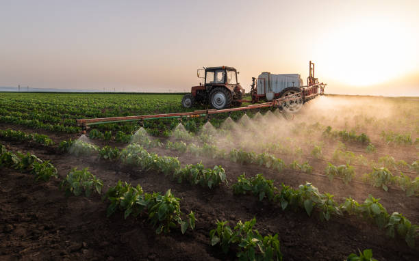 Pest Prevention Services in Benson, MN