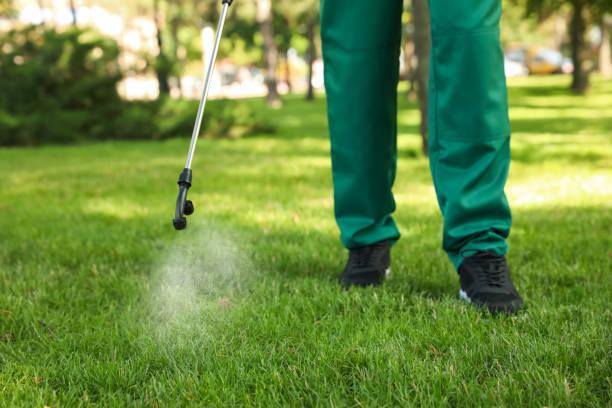 Best Pest Prevention Services  in Benson, MN